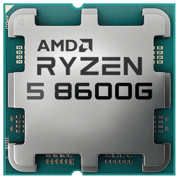 AMD RYZEN 5 8600G (4.3 GHz / 5.0 GHz) TRAY